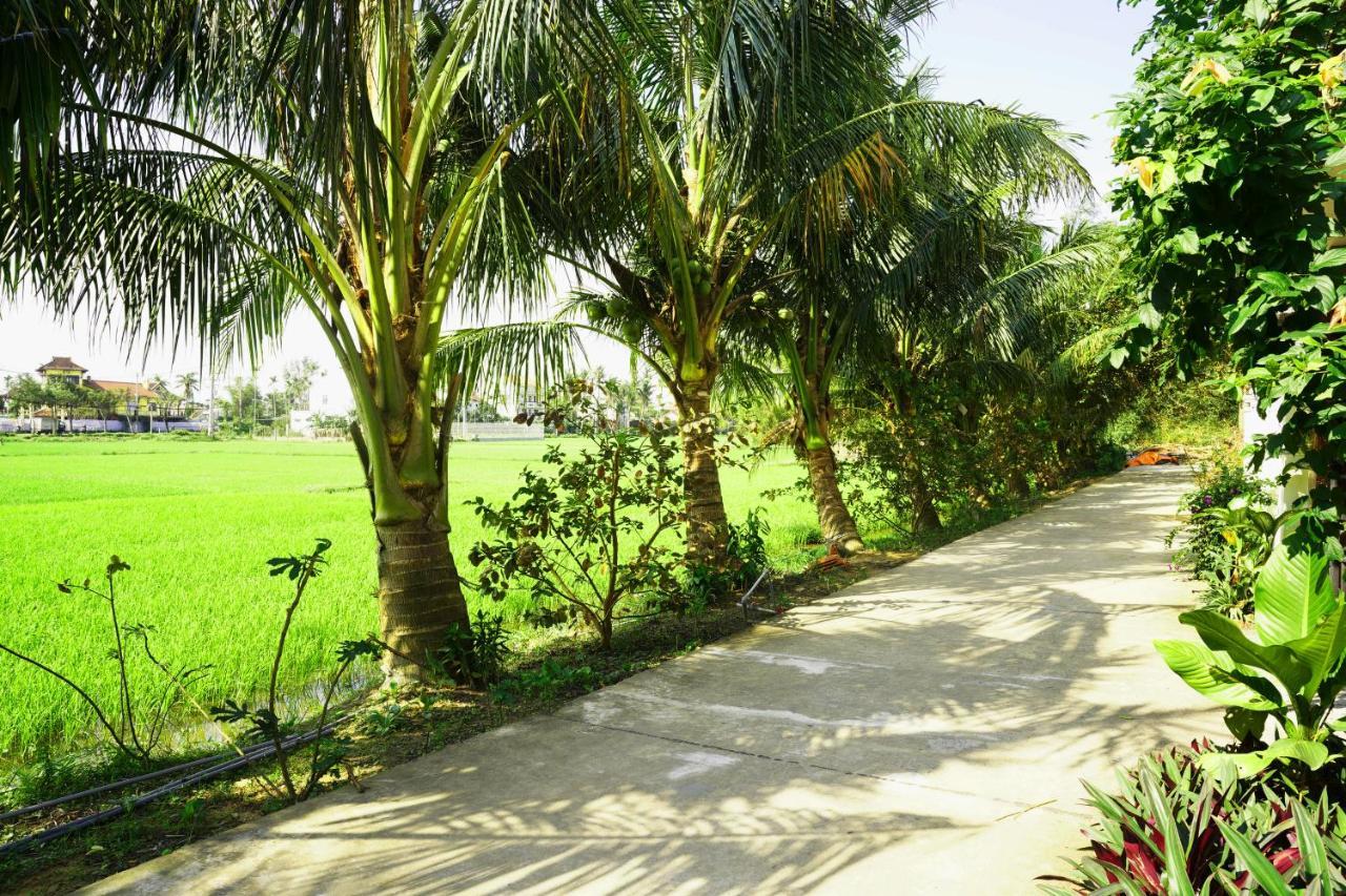 Hoang Y Homestay Hoi An Exteriér fotografie